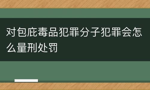 对包庇毒品犯罪分子犯罪会怎么量刑处罚