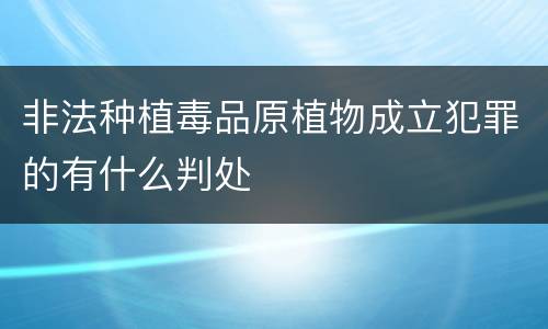 非法种植毒品原植物成立犯罪的有什么判处