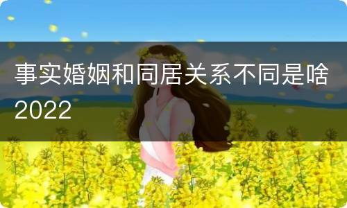 事实婚姻和同居关系不同是啥2022
