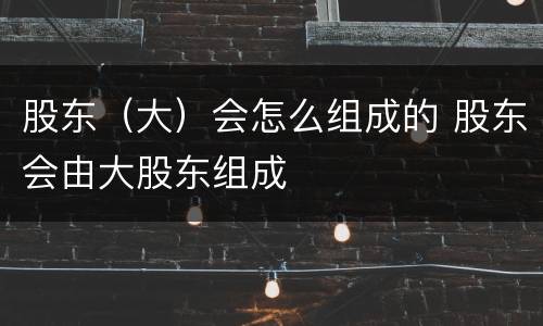 股东（大）会怎么组成的 股东会由大股东组成