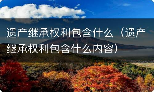 遗产继承权利包含什么（遗产继承权利包含什么内容）