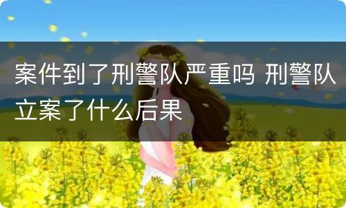 案件到了刑警队严重吗 刑警队立案了什么后果