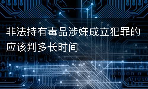 非法持有毒品涉嫌成立犯罪的应该判多长时间
