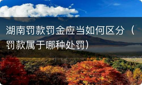 湖南罚款罚金应当如何区分（罚款属于哪种处罚）