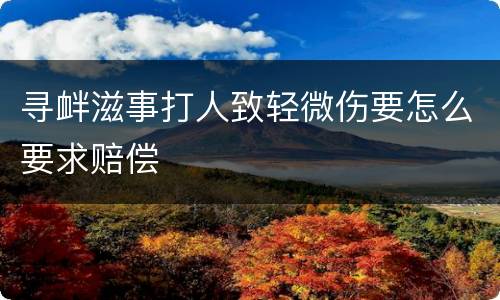 寻衅滋事打人致轻微伤要怎么要求赔偿