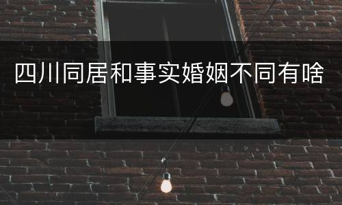 四川同居和事实婚姻不同有啥
