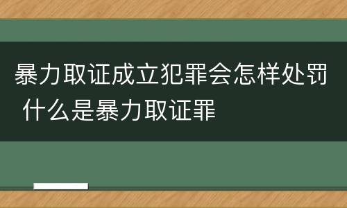 暴力取证成立犯罪会怎样处罚 什么是暴力取证罪