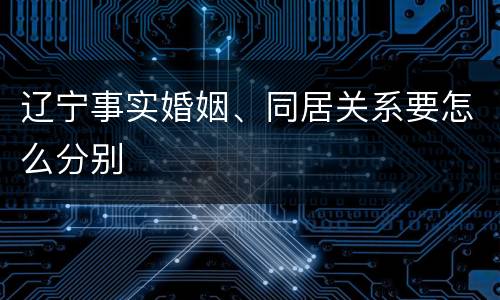 辽宁事实婚姻、同居关系要怎么分别