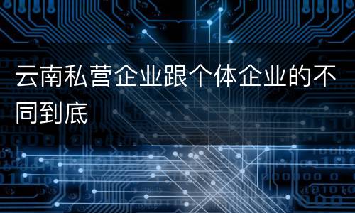 云南私营企业跟个体企业的不同到底