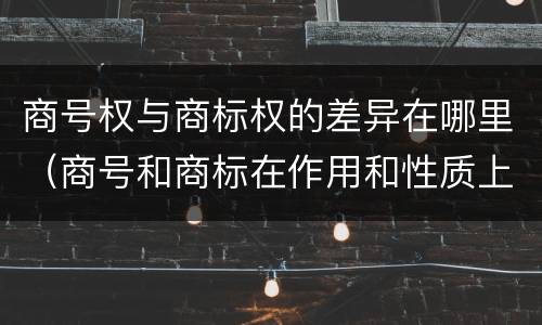 商号权与商标权的差异在哪里（商号和商标在作用和性质上的区别）