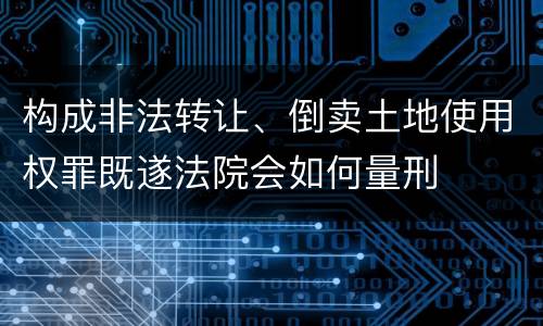 构成非法转让、倒卖土地使用权罪既遂法院会如何量刑