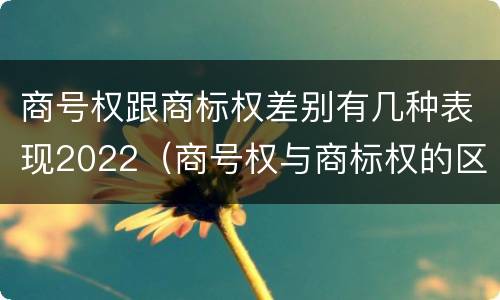 商号权跟商标权差别有几种表现2022（商号权与商标权的区别）