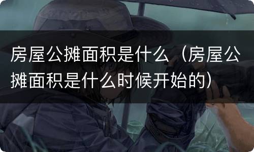 房屋公摊面积是什么（房屋公摊面积是什么时候开始的）