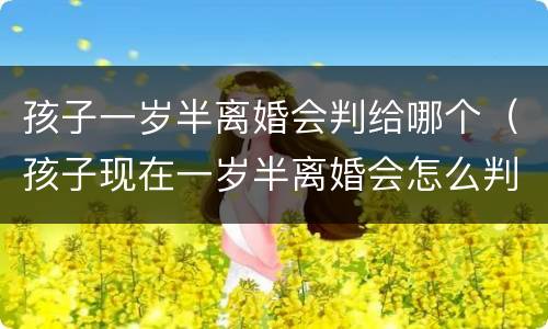 孩子一岁半离婚会判给哪个（孩子现在一岁半离婚会怎么判）