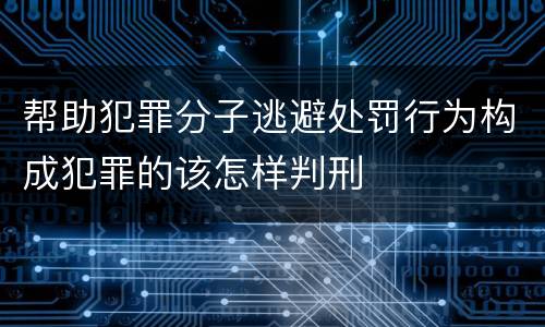 帮助犯罪分子逃避处罚行为构成犯罪的该怎样判刑