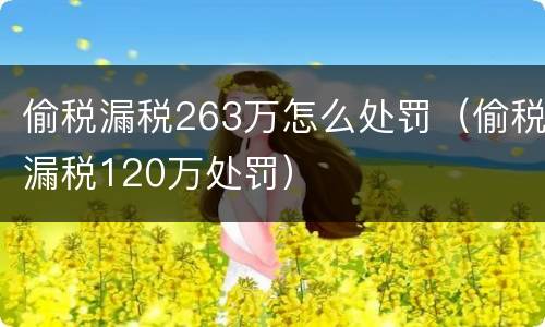 偷税漏税263万怎么处罚（偷税漏税120万处罚）