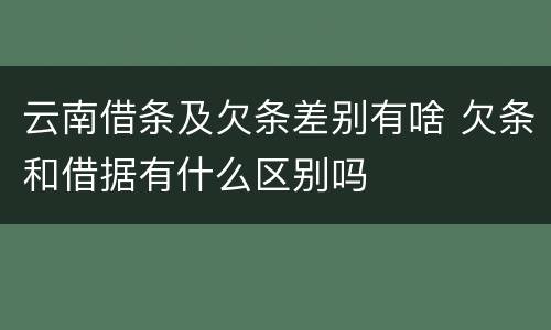 云南借条及欠条差别有啥 欠条和借据有什么区别吗