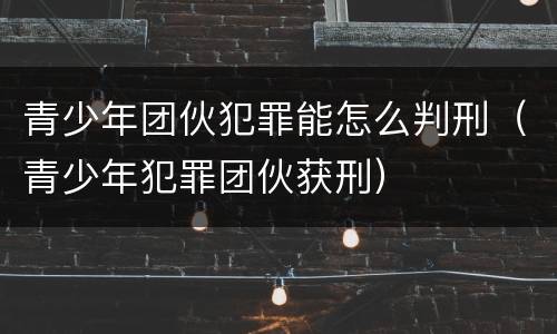 青少年团伙犯罪能怎么判刑（青少年犯罪团伙获刑）