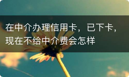 在中介办理信用卡，已下卡，现在不给中介费会怎样
