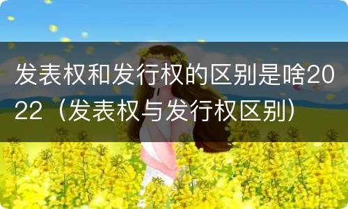 发表权和发行权的区别是啥2022（发表权与发行权区别）