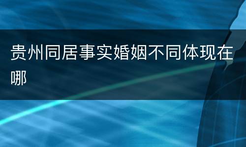 贵州同居事实婚姻不同体现在哪