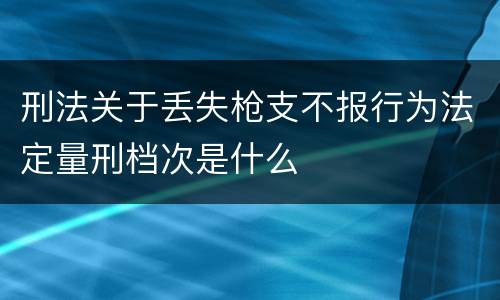 刑法关于丢失枪支不报行为法定量刑档次是什么