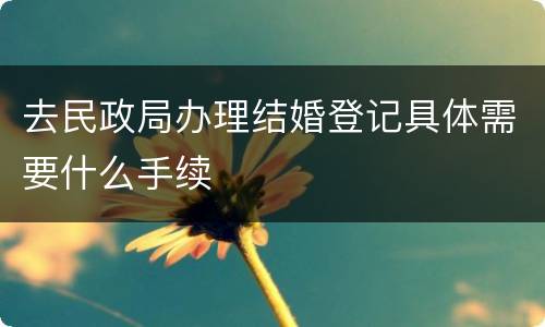 去民政局办理结婚登记具体需要什么手续