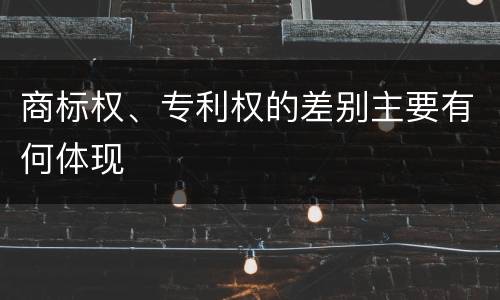 商标权、专利权的差别主要有何体现