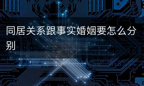 同居关系跟事实婚姻要怎么分别