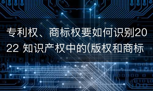 专利权、商标权要如何识别2022 知识产权中的(版权和商标权与标准