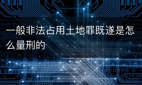 一般非法占用土地罪既遂是怎么量刑的