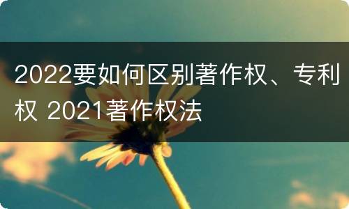 2022要如何区别著作权、专利权 2021著作权法