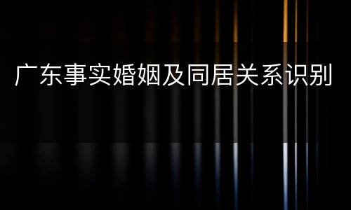 广东事实婚姻及同居关系识别