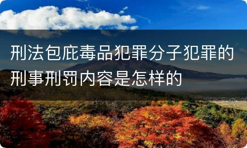 刑法包庇毒品犯罪分子犯罪的刑事刑罚内容是怎样的