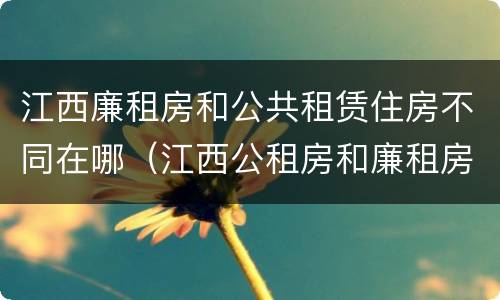 江西廉租房和公共租赁住房不同在哪（江西公租房和廉租房能买吗）