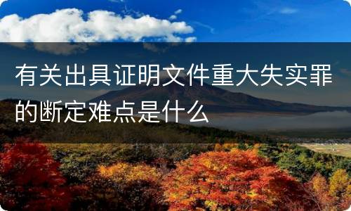 有关出具证明文件重大失实罪的断定难点是什么