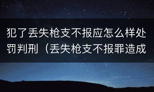 犯了丢失枪支不报应怎么样处罚判刑（丢失枪支不报罪造成后果）