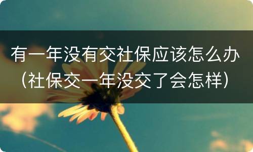 有一年没有交社保应该怎么办（社保交一年没交了会怎样）