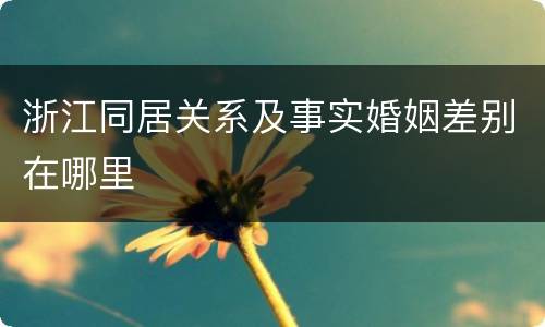 浙江同居关系及事实婚姻差别在哪里