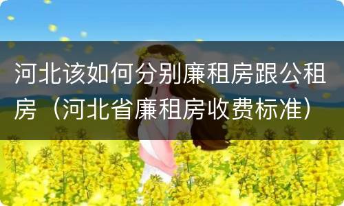 河北该如何分别廉租房跟公租房（河北省廉租房收费标准）