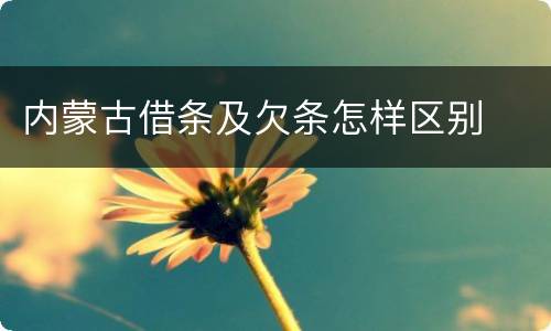 内蒙古借条及欠条怎样区别