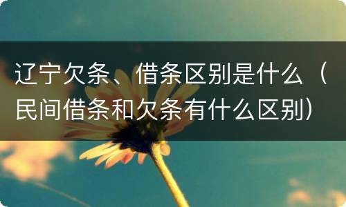 辽宁欠条、借条区别是什么（民间借条和欠条有什么区别）