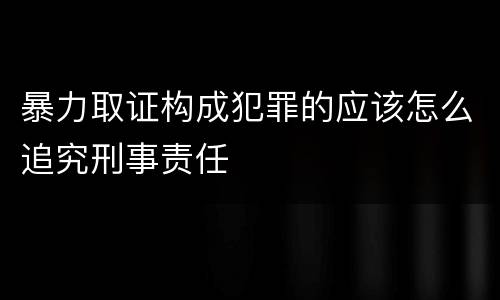 暴力取证构成犯罪的应该怎么追究刑事责任