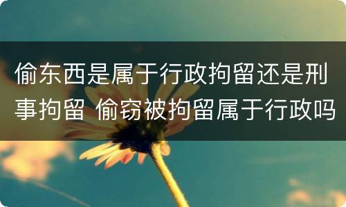 偷东西是属于行政拘留还是刑事拘留 偷窃被拘留属于行政吗