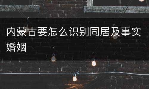 内蒙古要怎么识别同居及事实婚姻
