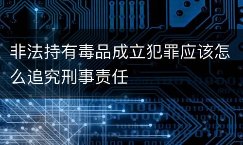 非法持有毒品成立犯罪应该怎么追究刑事责任