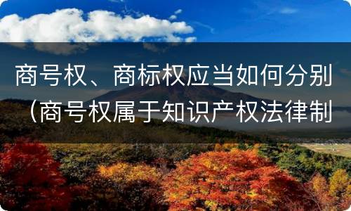 商号权、商标权应当如何分别（商号权属于知识产权法律制度的是）