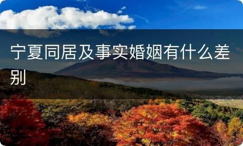 宁夏同居及事实婚姻有什么差别