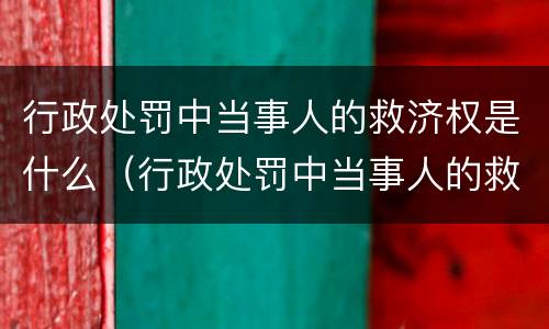 行政处罚中当事人的救济权是什么（行政处罚中当事人的救济权是什么）