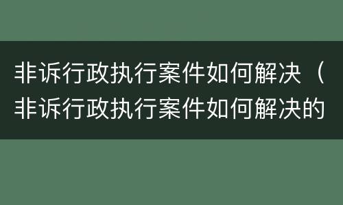 非诉行政执行案件如何解决（非诉行政执行案件如何解决的）